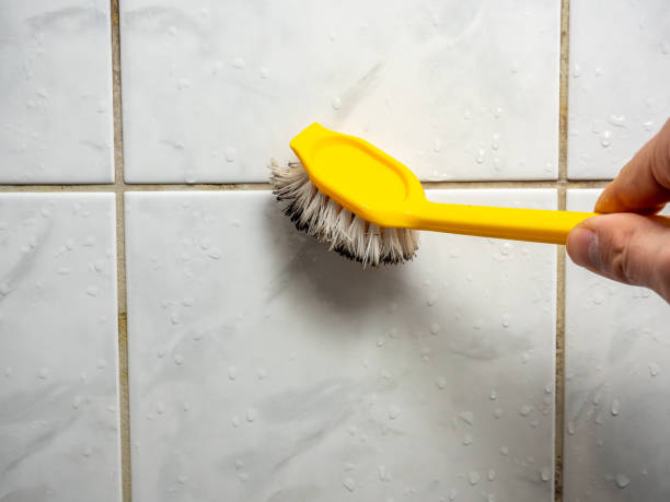 Professional Mold Removal in Gautier, MS