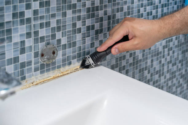 Best Mold Testing  in Gautier, MS