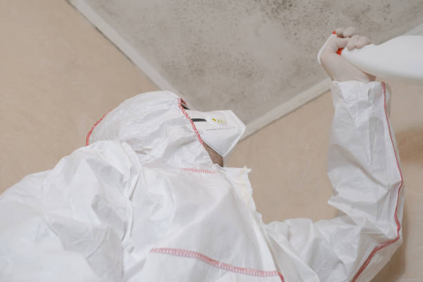 Best Office Mold Removal Services  in Gautier, MS